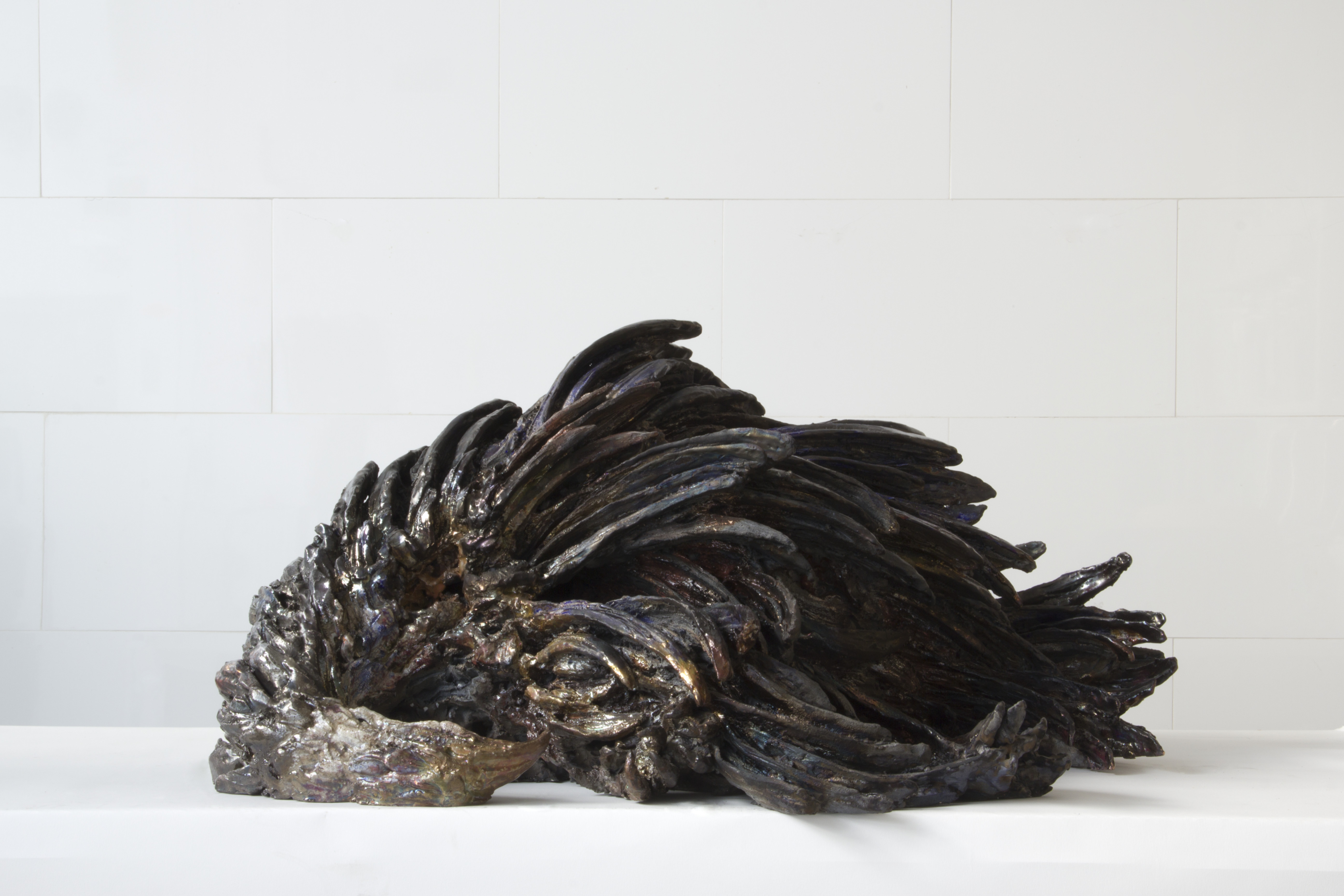 Afbeelding: Anne Wenzel, Chasing Silence, Velvet Pheasant. Courtesy AKINCI.